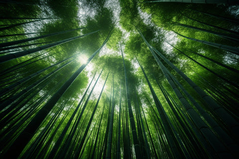 Ditch Plastic. Embrace Natural